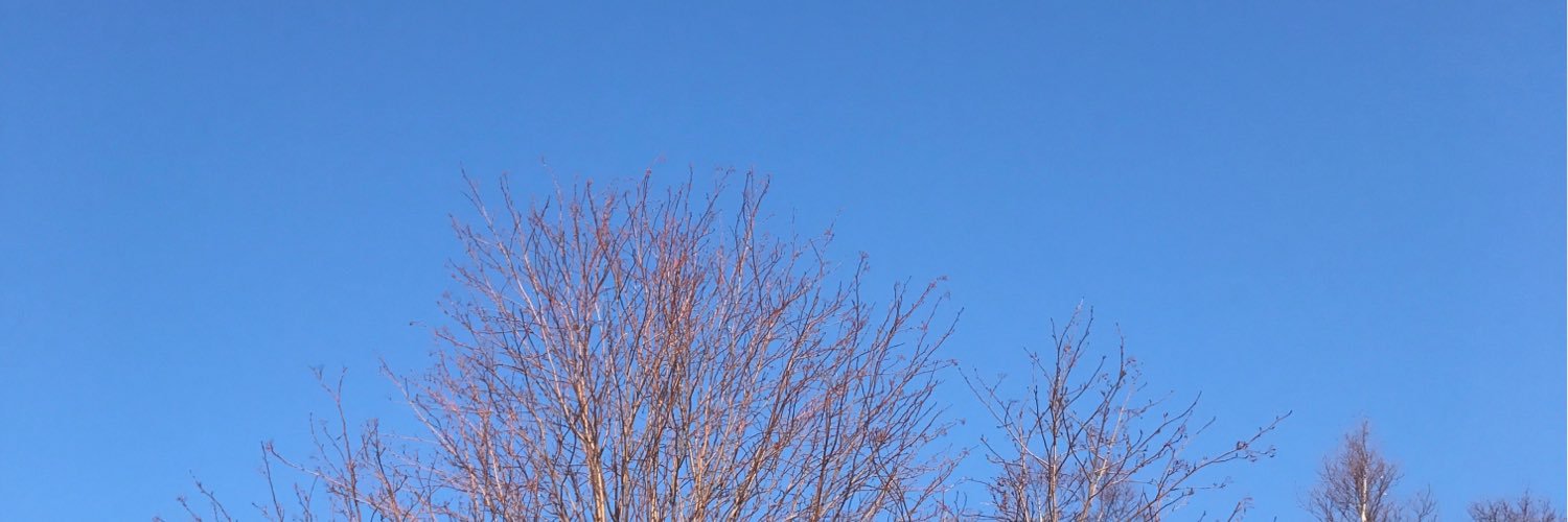 Sashakinar's profile banner image