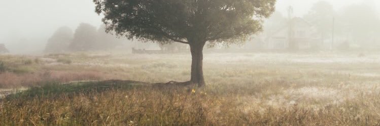 razzleberry_e's profile banner image