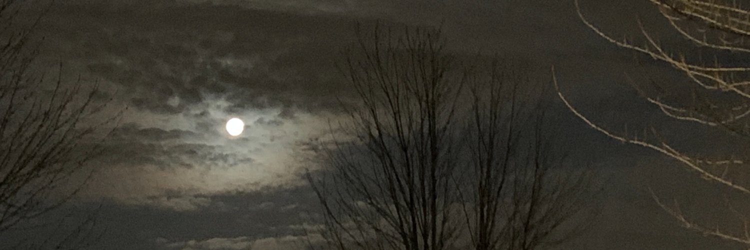 MrsBlah's profile banner image