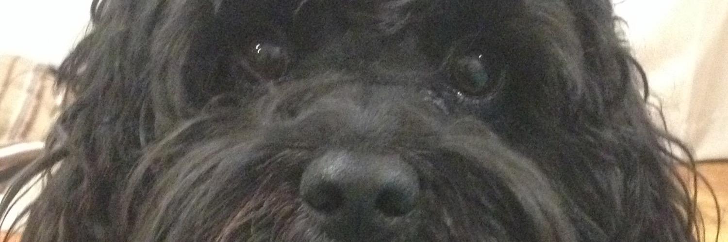 Susanmudie's profile banner image