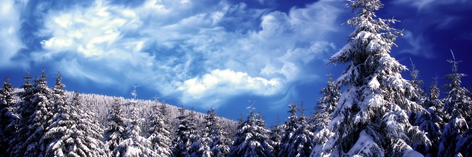 gabi_pitt's profile banner image