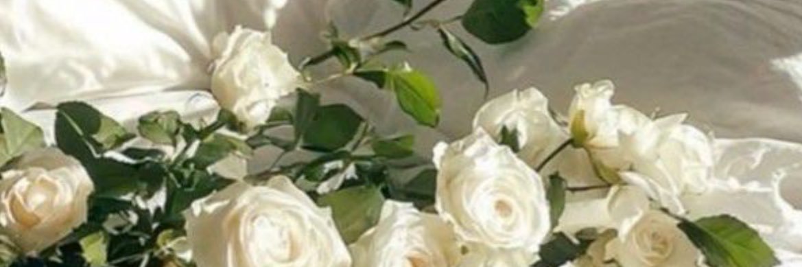 _uiintzel's profile banner image