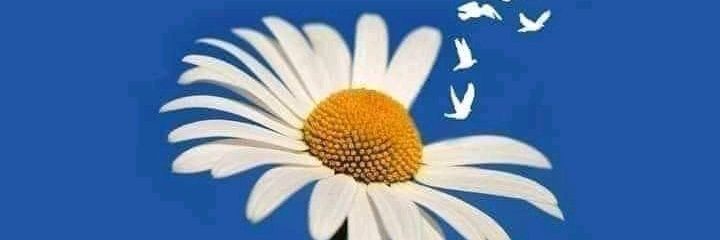 gabitaper's profile banner image