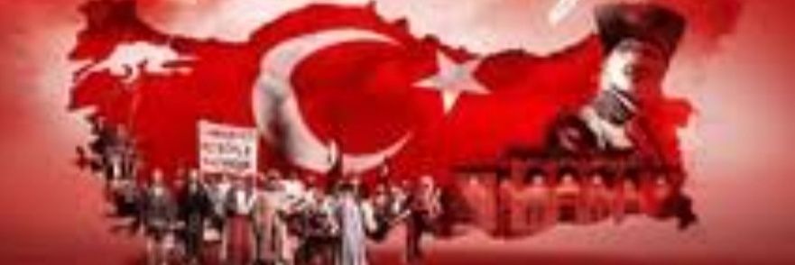 elif43_43's profile banner image