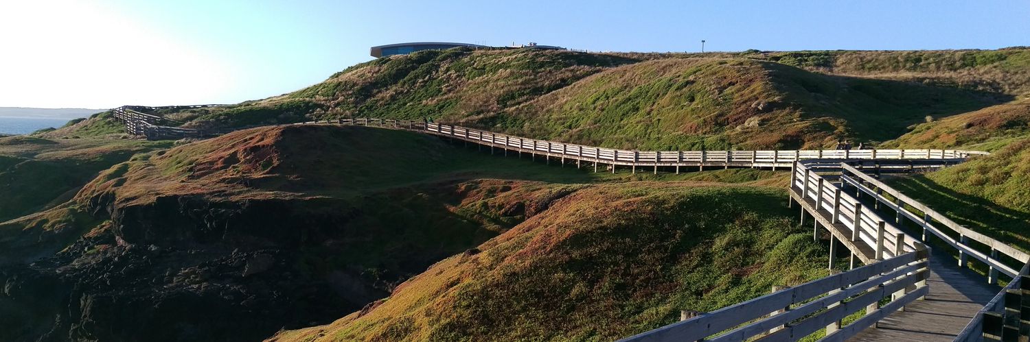 Carolin Werthmueller banner