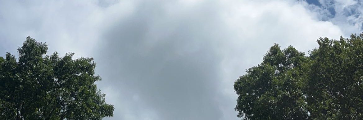 gingisnack's profile banner image