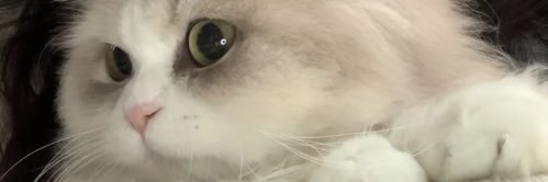 whynobj's profile banner image