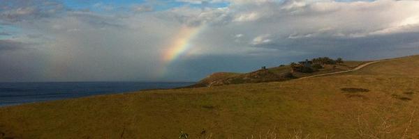 r4ch__L Profile Banner