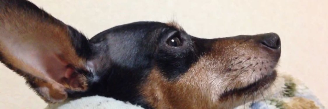 Kyohey111's profile banner image