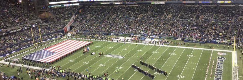 Seahawk Gooner banner