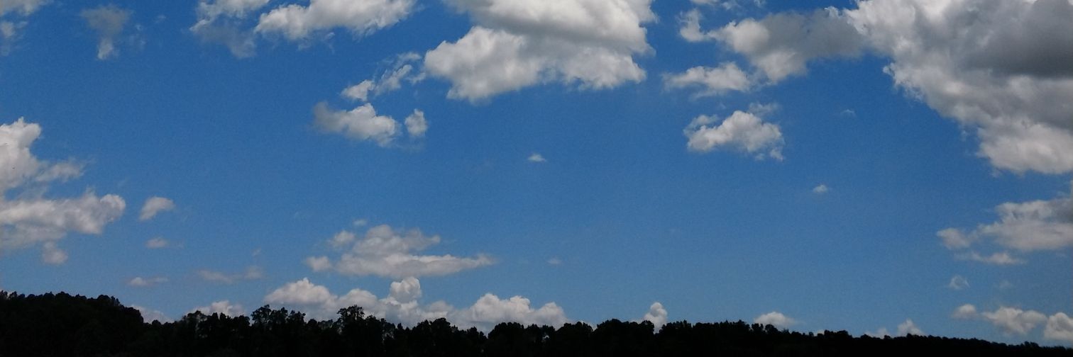 operadirector's profile banner image