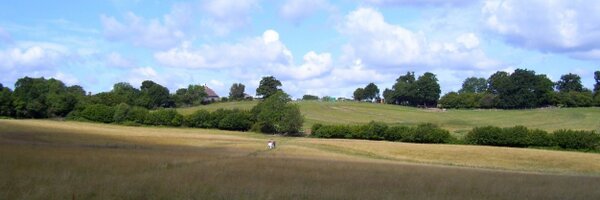 gav_pat Profile Banner