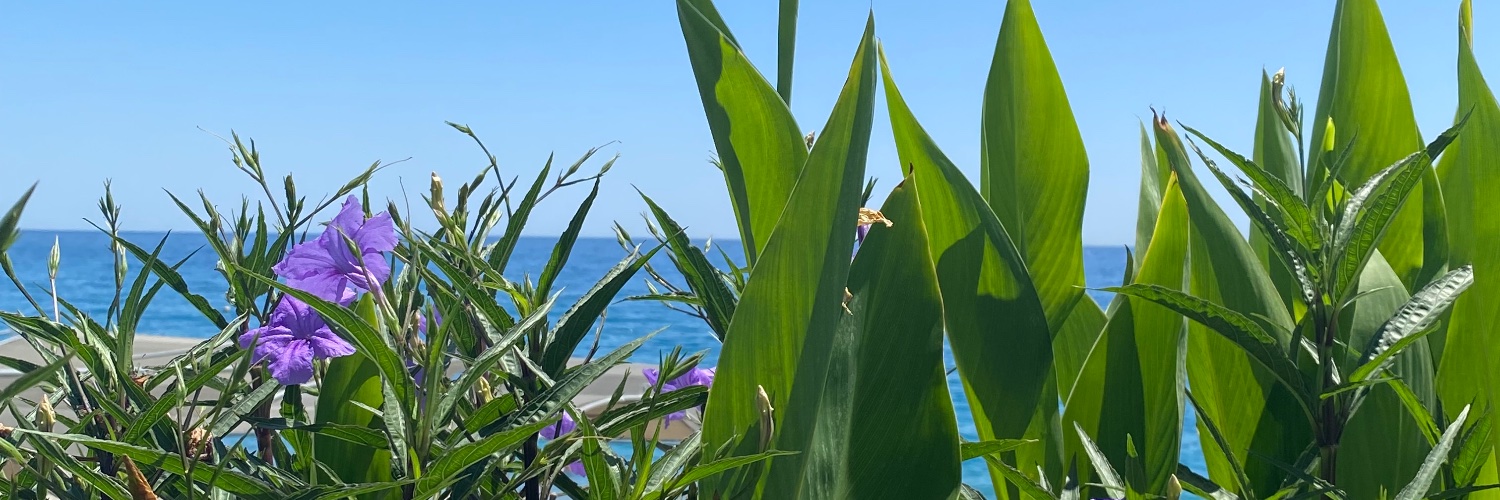 anthitariel's profile banner image