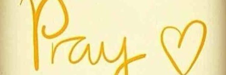 NancyLahai's profile banner image
