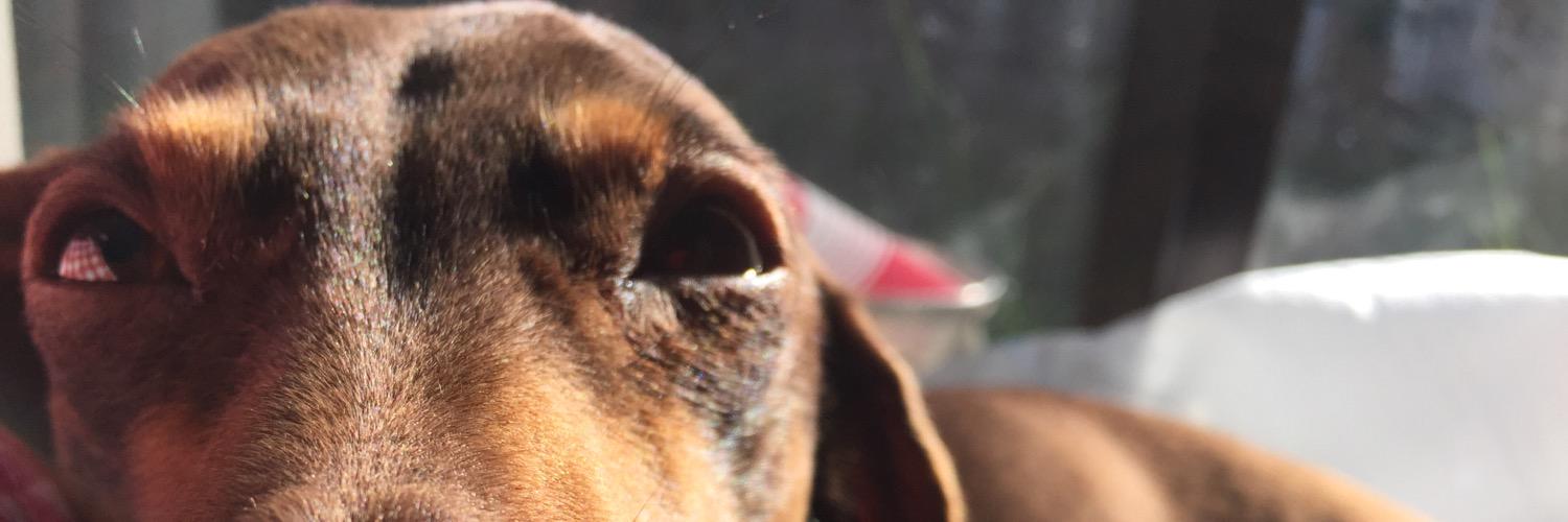 oJAKEt's profile banner image