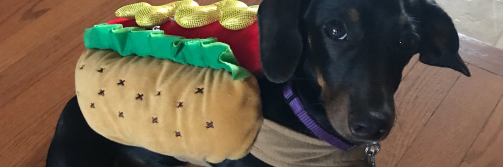 haylgroot's profile banner image