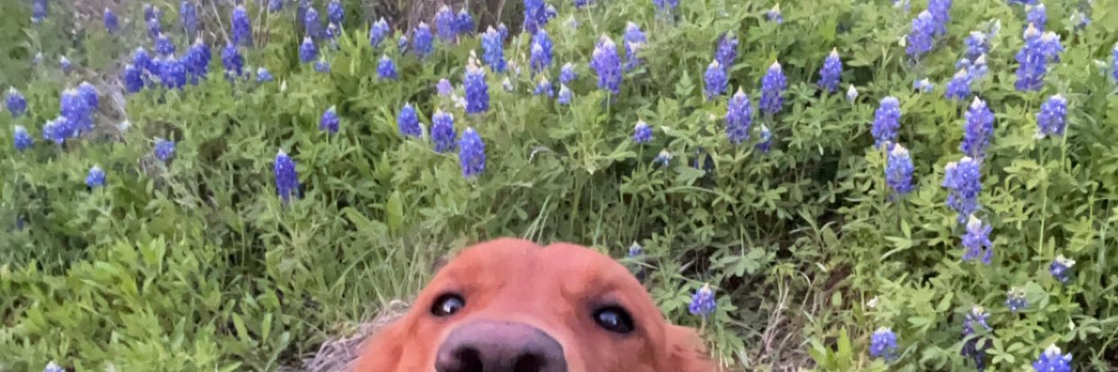 heatherhza's profile banner image