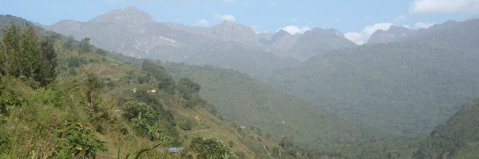 jiri_preis's profile banner image