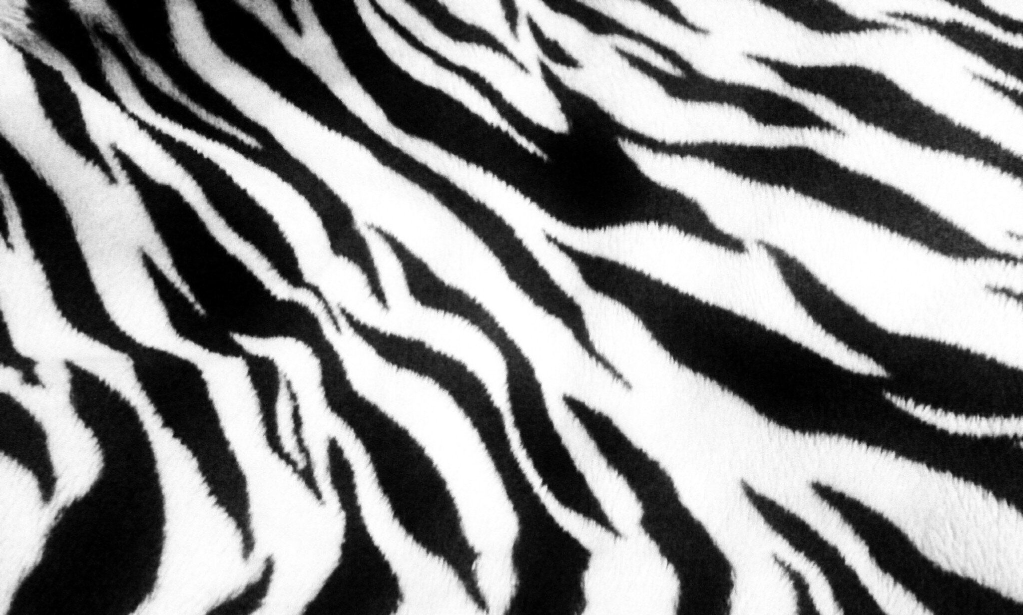theresoctavia's profile banner image
