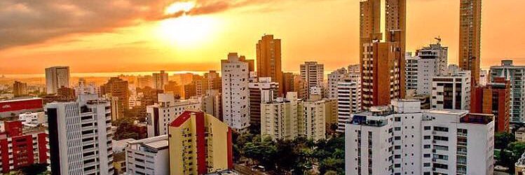 pasecoa's profile banner image