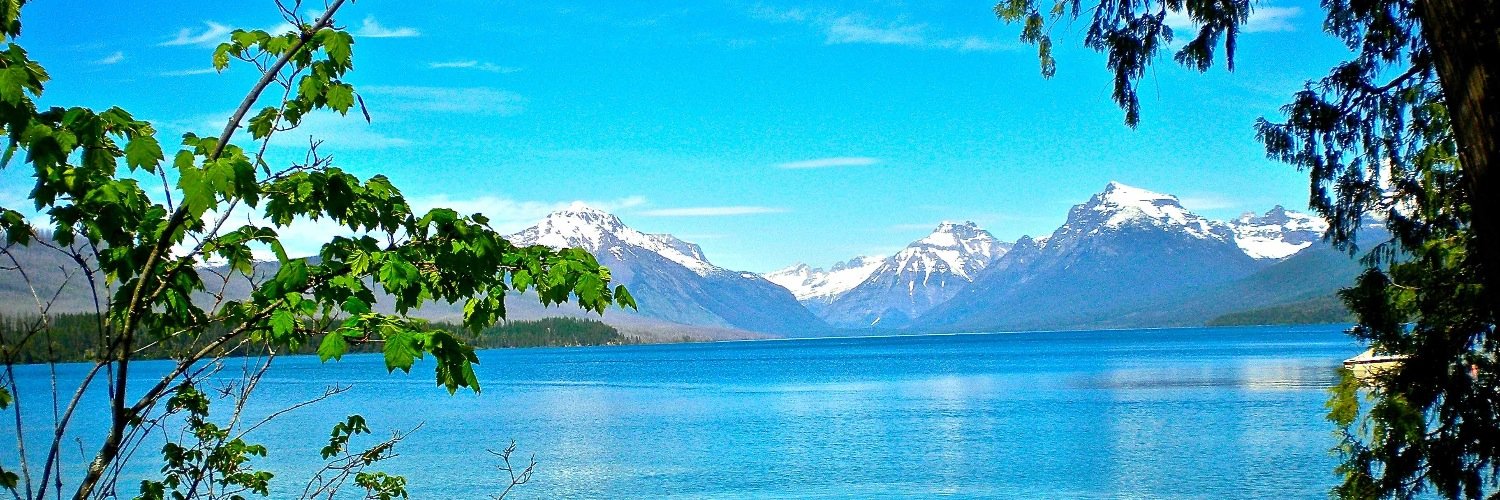 jdods14's profile banner image