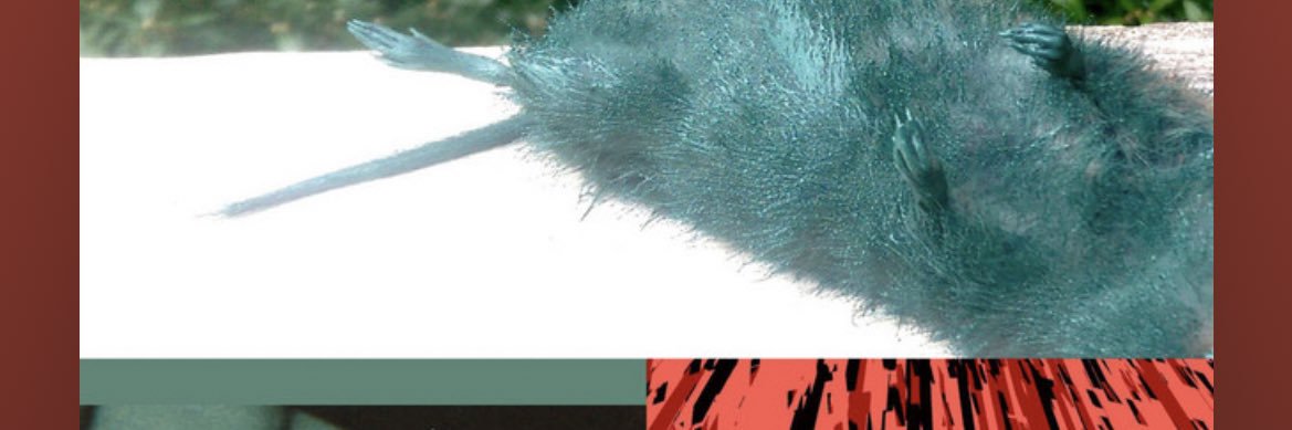 _mattcastles's profile banner image