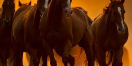 luke_damone's profile banner image