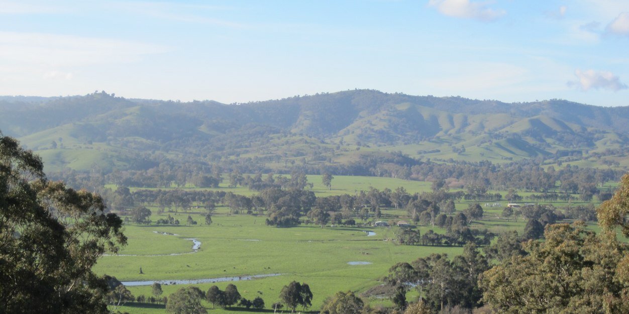 hazelgrove's profile banner image