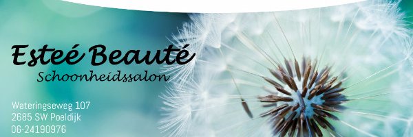 estebeaute's profile banner image