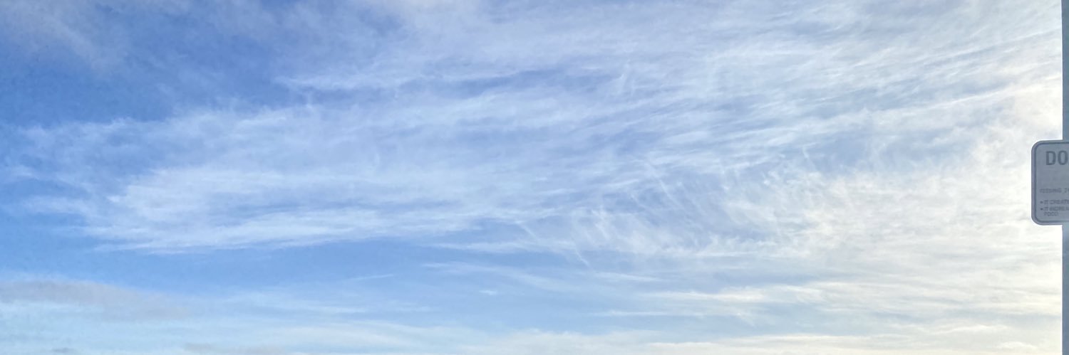 rigosolorio_'s profile banner image