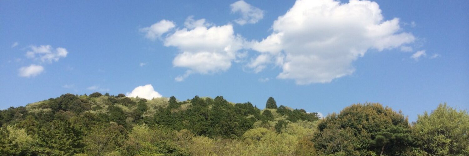 PINOSAKU_'s profile banner image
