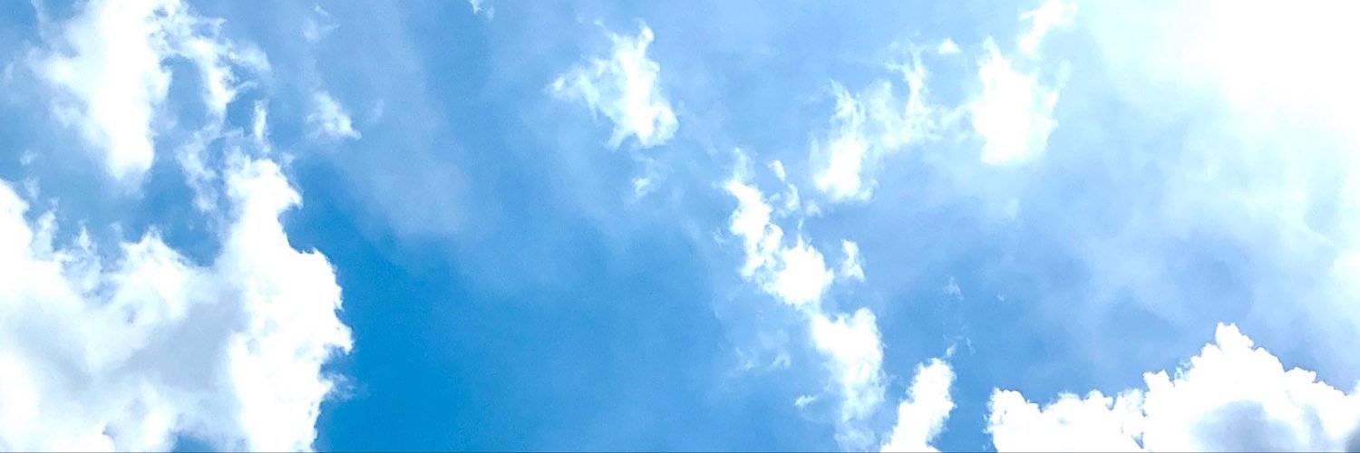 toranecosora's profile banner image