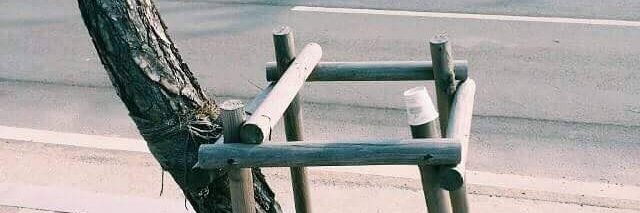 Ana Maria Hermida banner