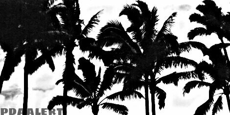 PDAalert's profile banner image