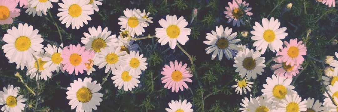 beccahoneyb's profile banner image