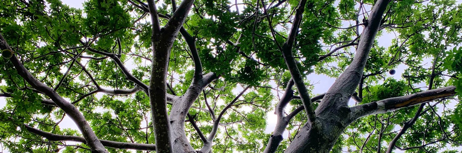 VIEA_Magazine's profile banner image