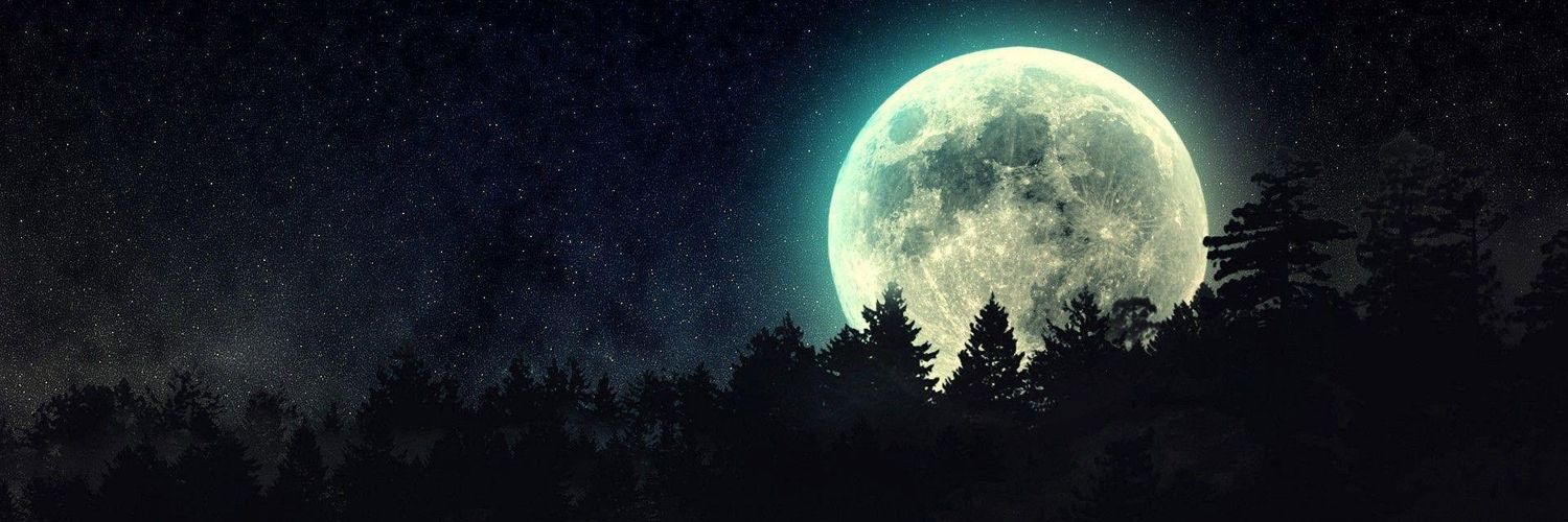 حسين الرضا banner