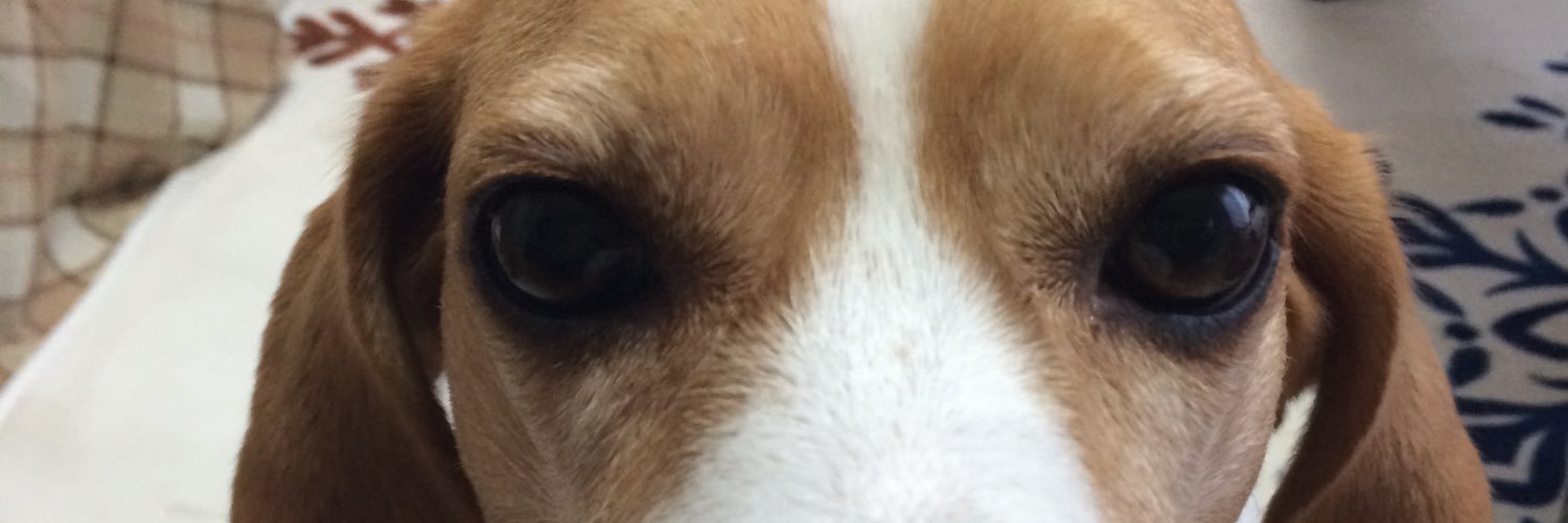 nin_ck's profile banner image