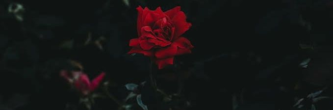 anonberastagi's profile banner image