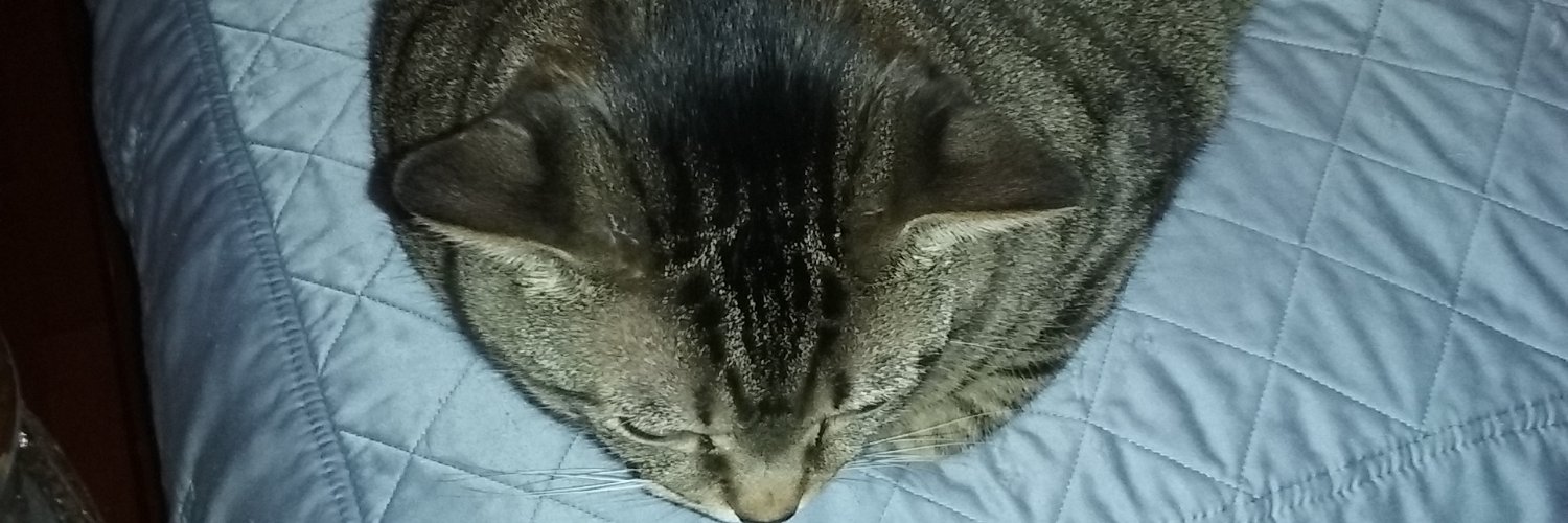 rascalete's profile banner image