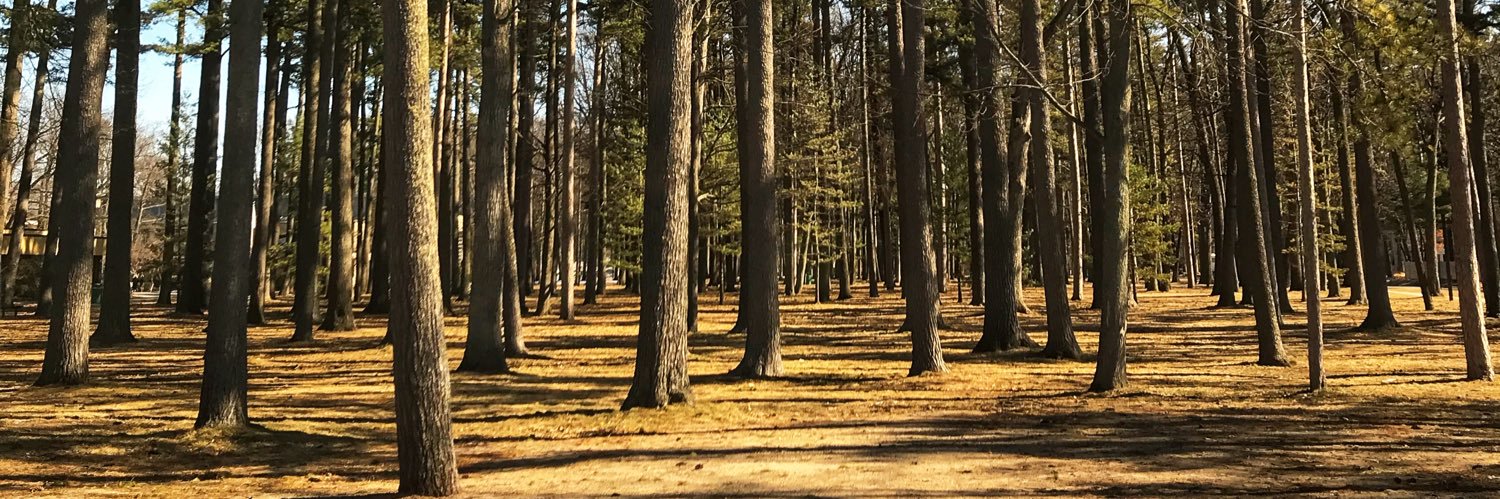 Bridgetbug23's profile banner image