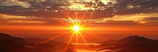 arnica2007's profile banner image