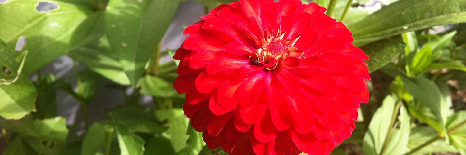 md_dewie's profile banner image