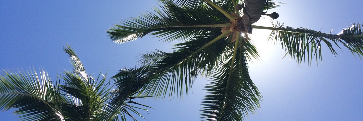 megantingg's profile banner image