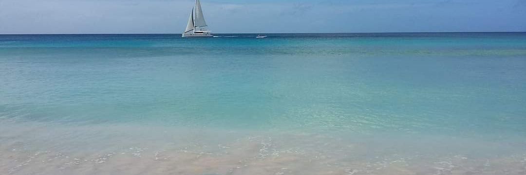 🇧🇧Toxteth Kopite🇧🇧👊🏿🌴🔴⚽🥊🎤🎶 banner