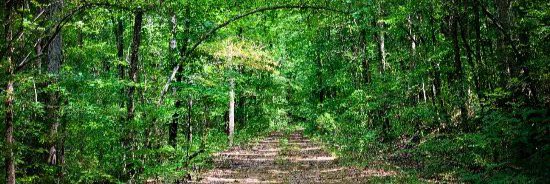 Resa_Dowdy's profile banner image
