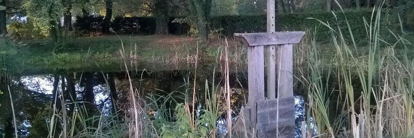 Christelle Chapiotin banner