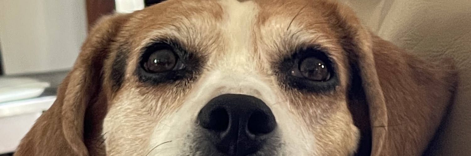 Emily4185's profile banner image