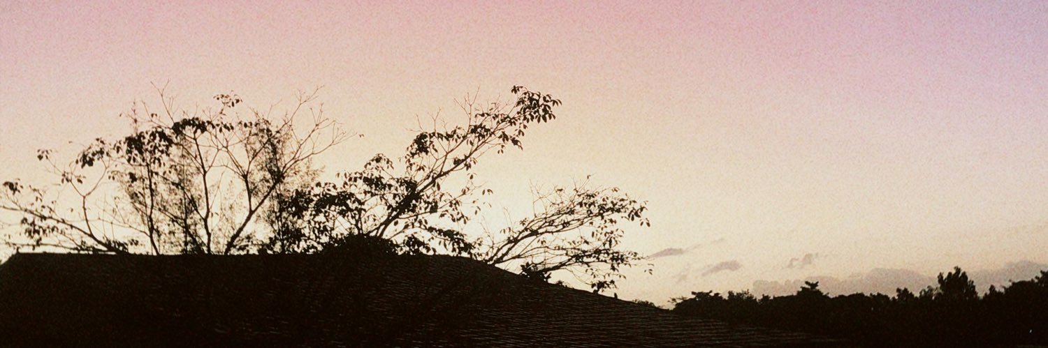talitansc's profile banner image