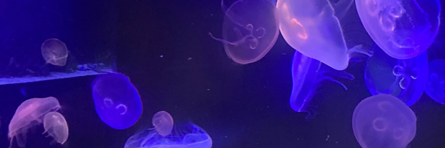 mbelruiz's profile banner image